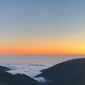 Meet your Posher, Lucas